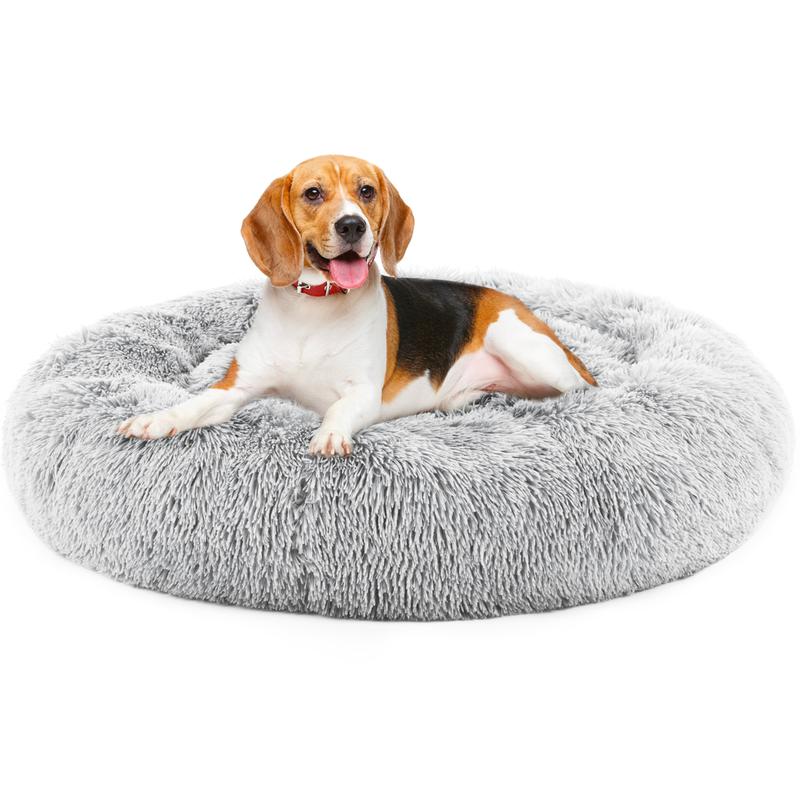 Halo dog bed best sale