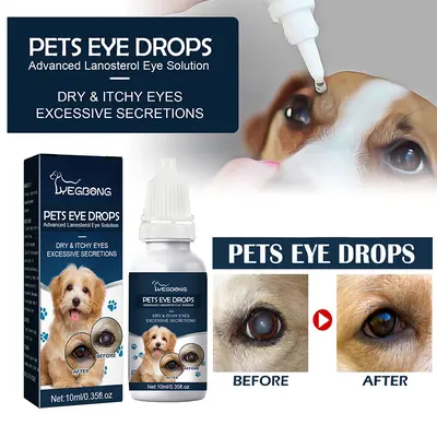 Selected Dog Home Remedies for Eye Allergies TikTok Shop
