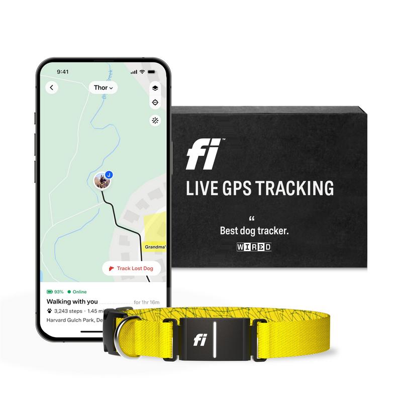 TikTok Shop Fi Series 3 Smart Dog Collar GPS Dog Tracker and Activity Fitness Monitor Waterproof LED Light Escape Alerts Nationwide Coverage Free 1 Year Membership Yellow X Small