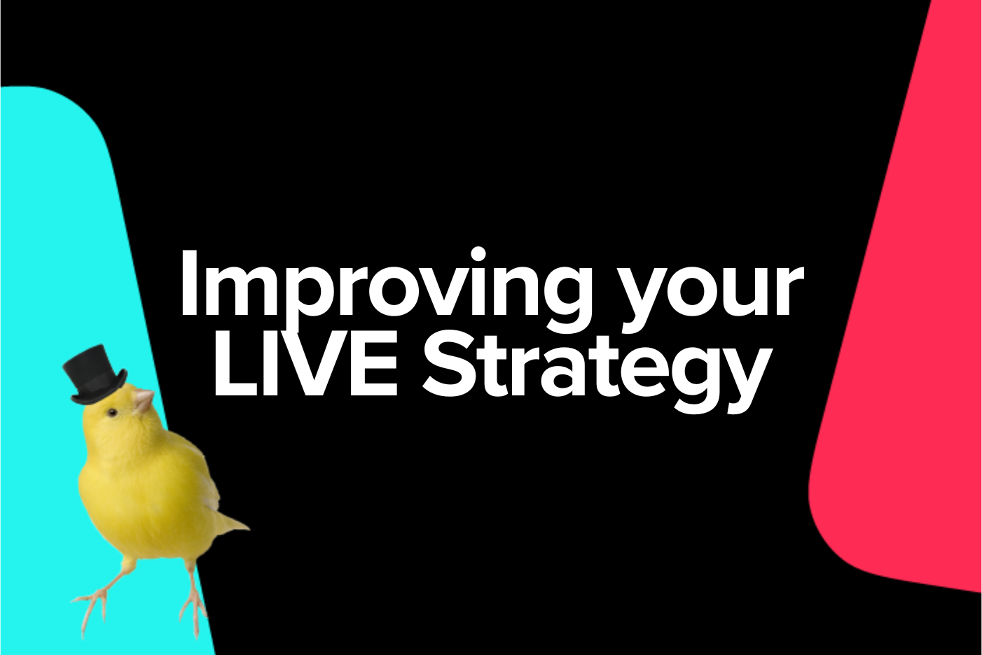 Tools and Promotions to Improve LIVE Performance