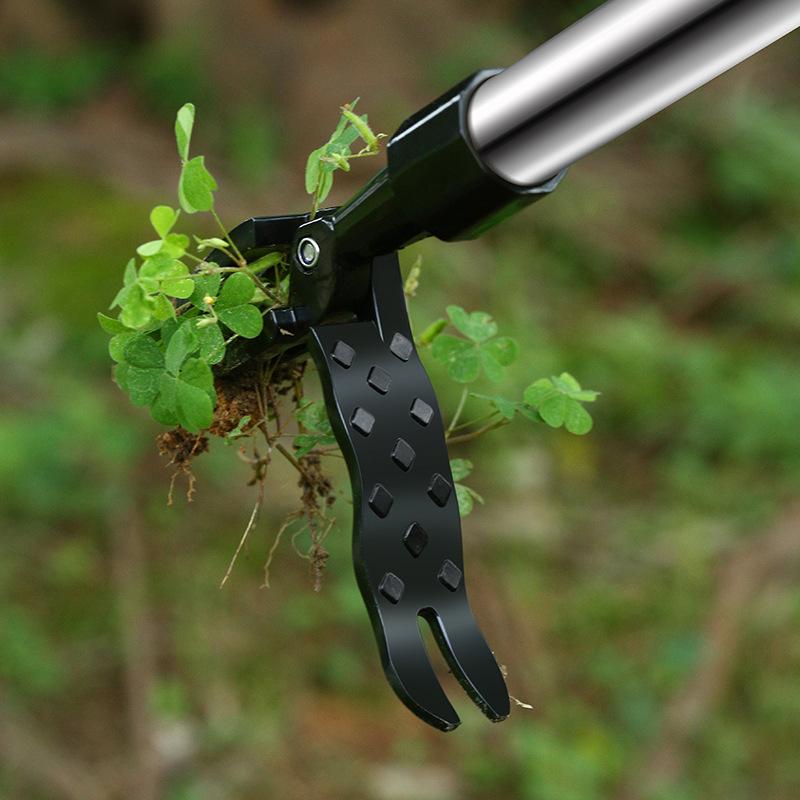 How to Use Tools Effectively for Quick Garden Cleanups: Expert Tips