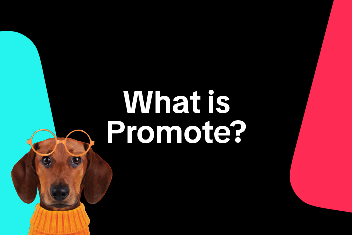 What is Promote?