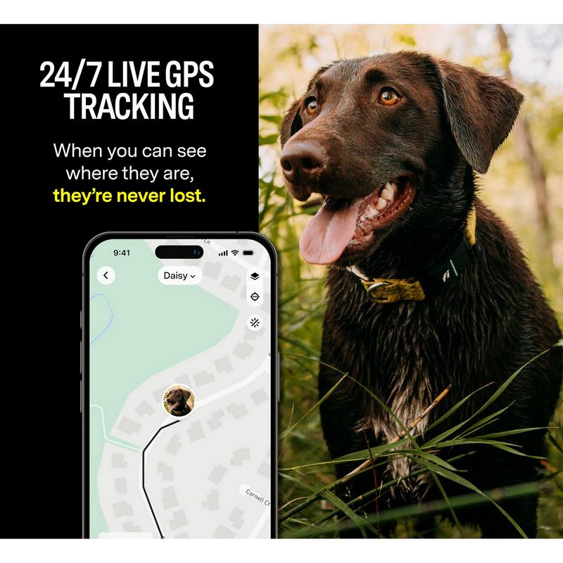 Free gps dog tracker best sale