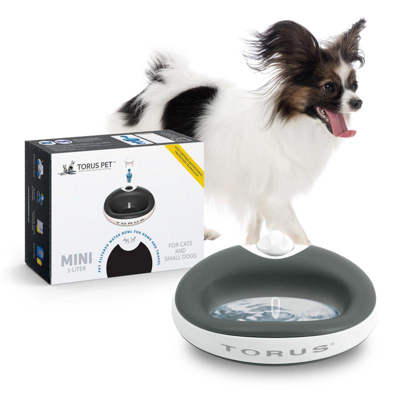 Filtered water for dogs best sale