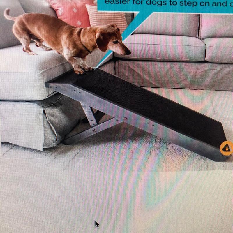 Dog ramp with platform best sale