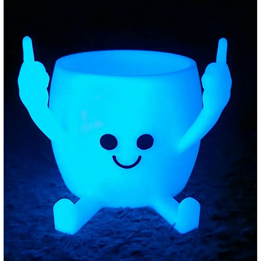 Pokemon Plant Pots TikTok Shop pokemon-plant-pots-tiktok-shop