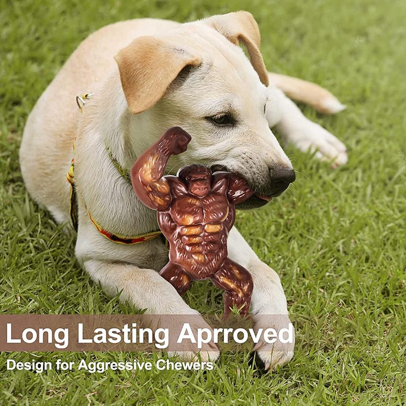 Dog aggressive with bone best sale