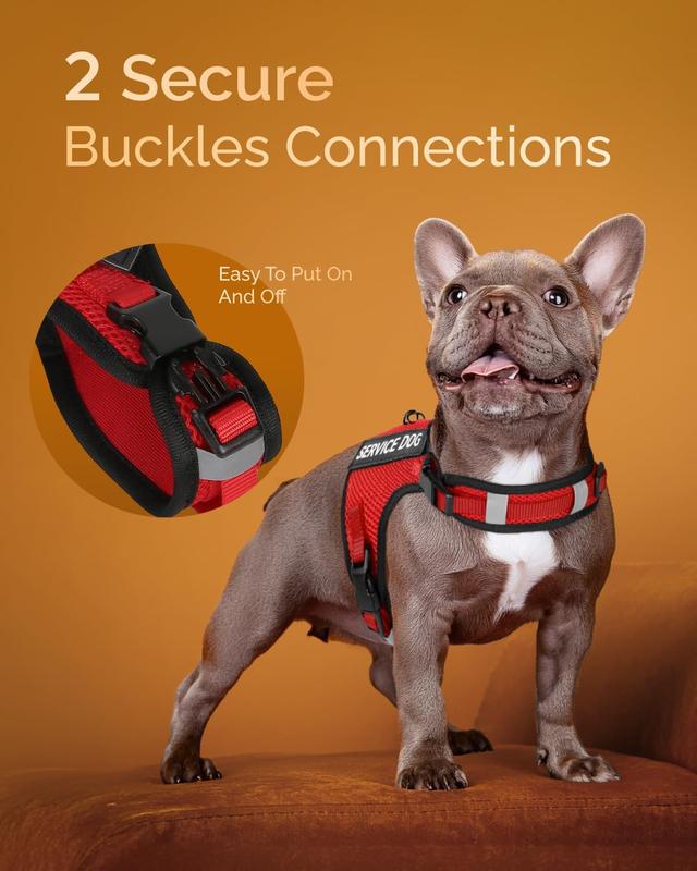 Diy service dog vest best sale