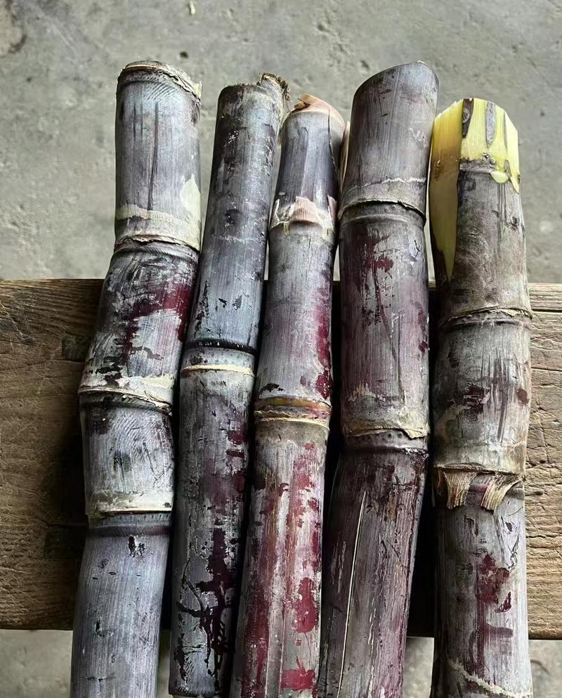 USDA HARDINESS ZONE910