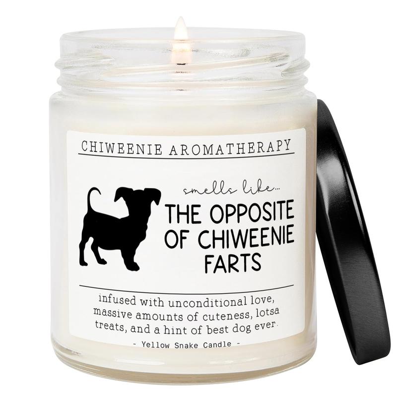 TikTok Shop Chiweenie Gifts Chiweenie Mom Funny Chiweenie Gift Chiweenie Candle Gift for Chiweenie Owner Unique Gift for Chiweenie Lover 9Oz Soy Wax Candle